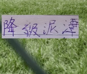 PG电子登录入口-申花能否摆脱降级泥潭！ 前5轮！成绩很重要